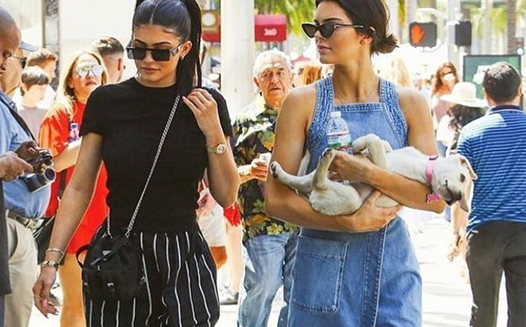 where-everyone's-buying-their-teeny-tiny-trendy-sunglasses-1