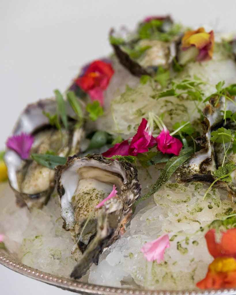 How to eat oysters for the first time like you're a pro Miss FQ