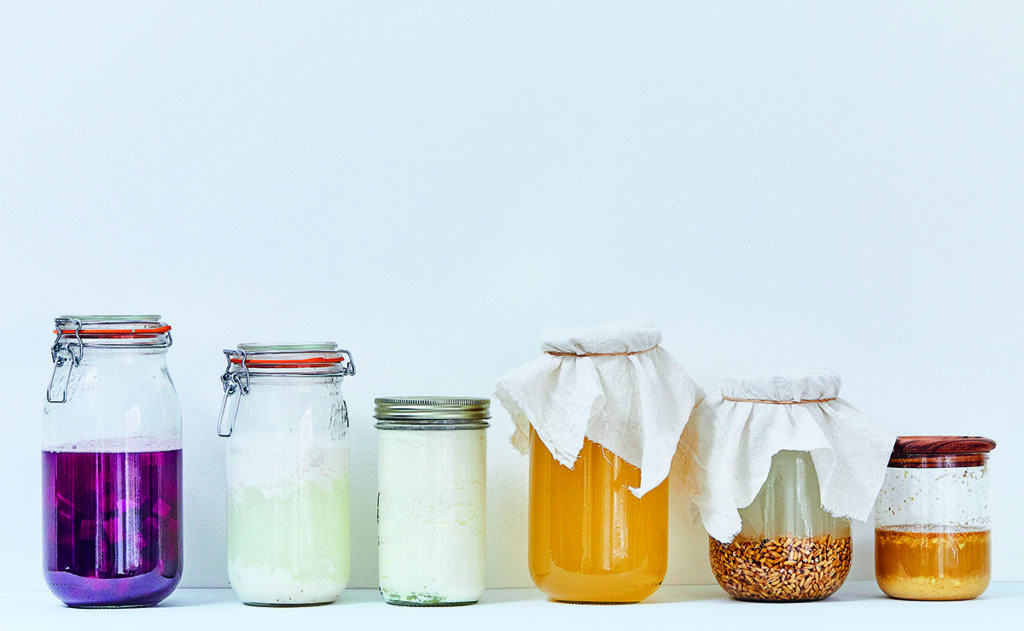 jars of fermented and probiotic food and drinks
