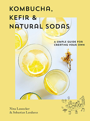 book: Kombucha, Kefir and natural sodas